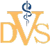 DVS Partner Logo
